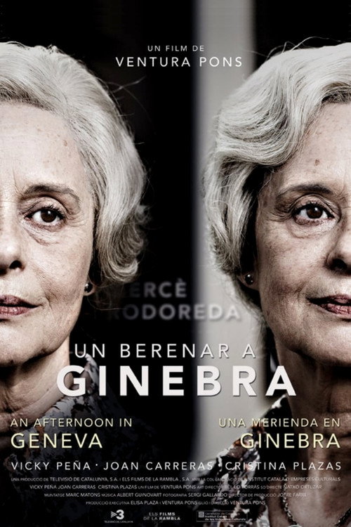 Movie poster for An Afternoon in Geneva (2013)