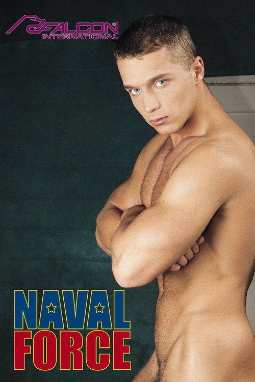 Movie poster for Naval Force (2001)