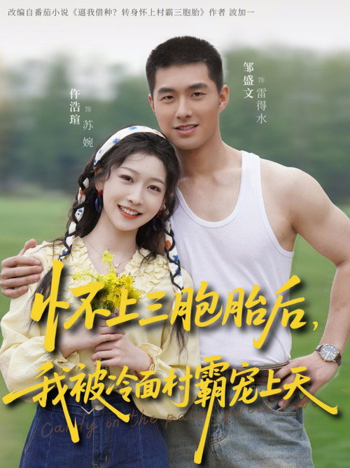 Series poster for 怀上三胞胎后，我被冷面村霸宠上天 (2026)