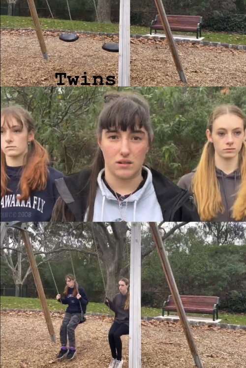 Movie poster for Twins (2022)
