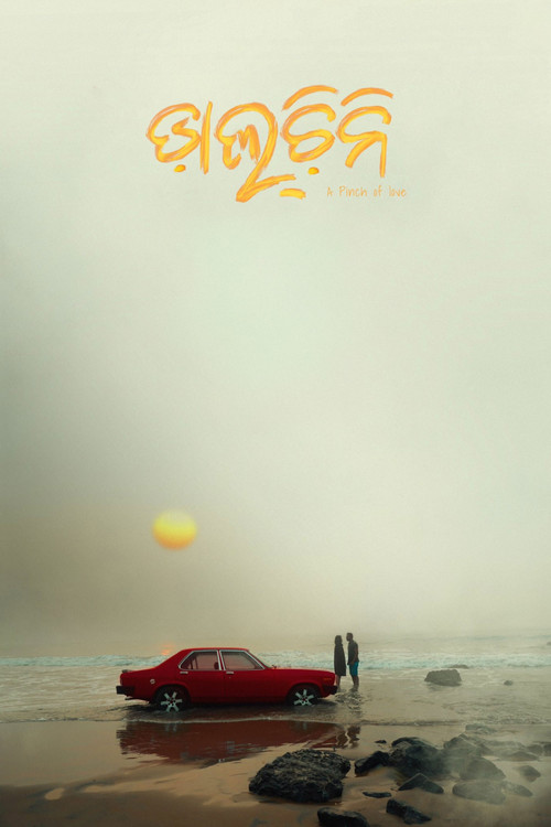 Movie poster for Daalcheeni (2024)