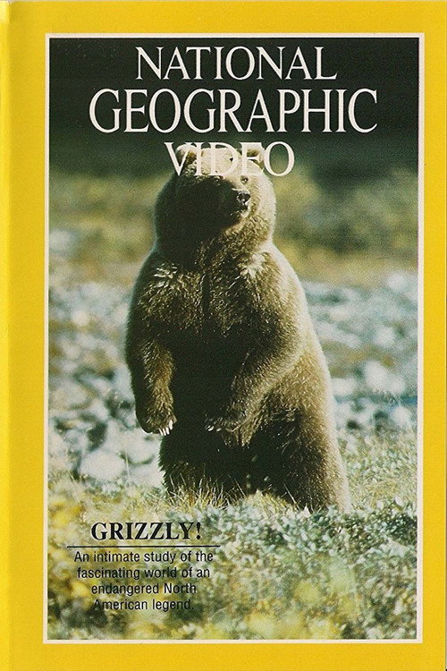 Movie poster for Grizzly! (1967)