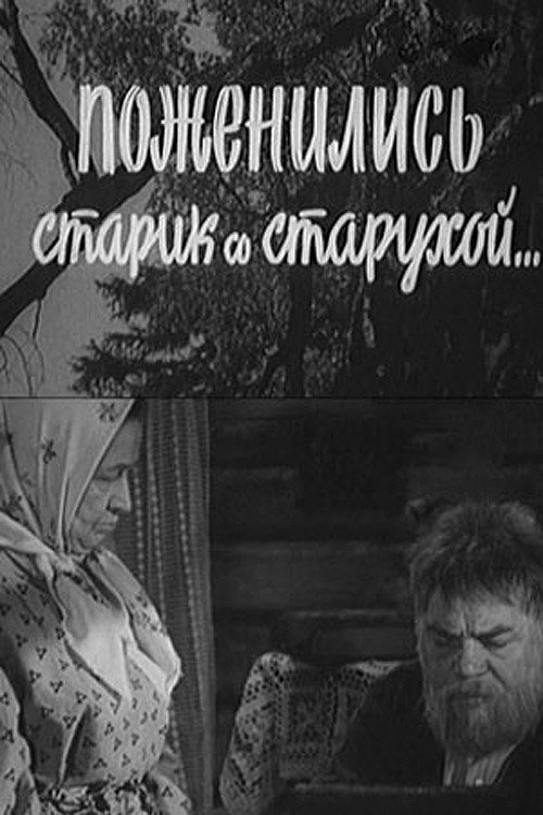 Movie poster for An Old Man and An Old Woman Got Married (1971)