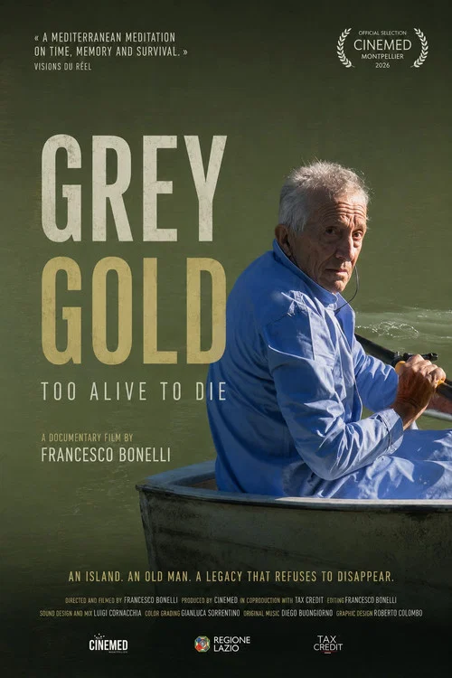 Movie poster for Oro grigio - Troppo vivi per morire (2025)