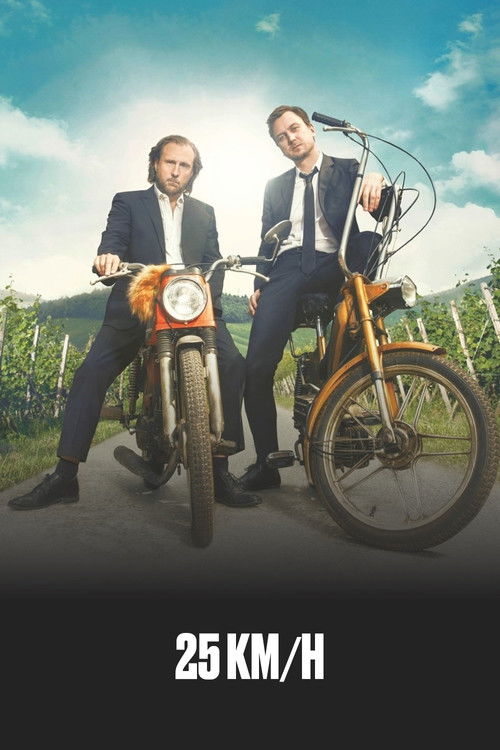 25 km/h poster