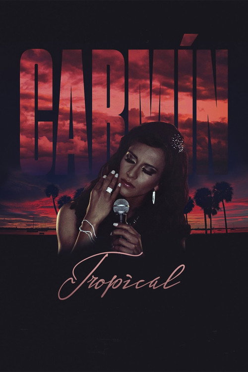 Movie poster for Carmín Tropical (2014)