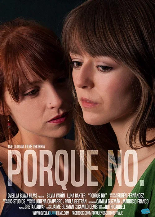 Movie poster for Porque no. (2016)