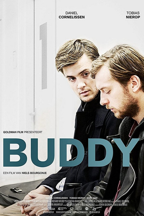 Movie poster for Buddy (2015)