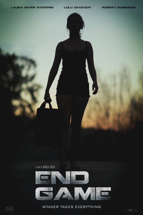 Movie poster for End Game (2016)