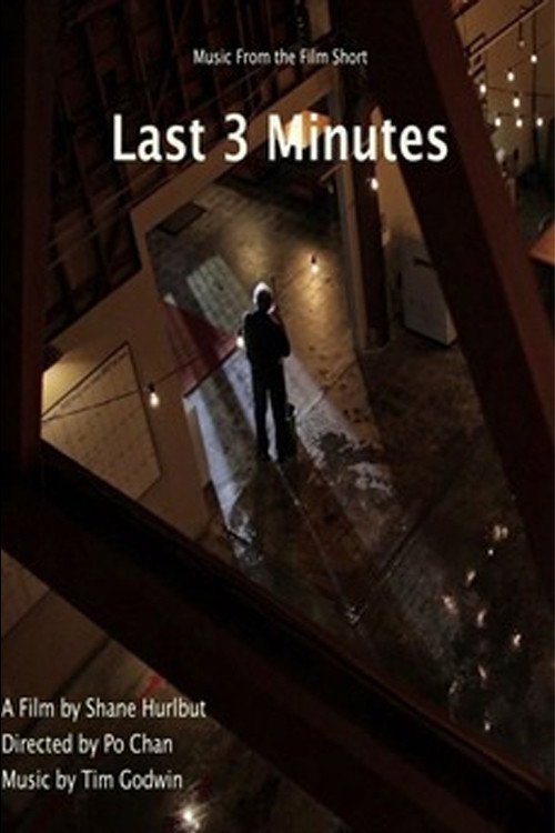 Movie poster for The Last 3 Minutes (2010)