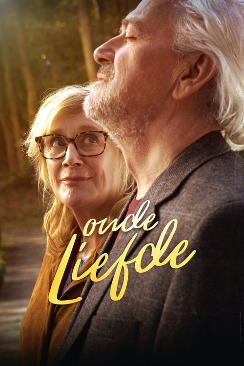 Movie poster for Love Revisited (2017)