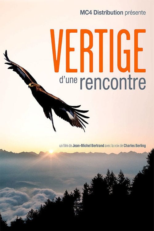 Movie poster for Vertige d'une rencontre (2010)