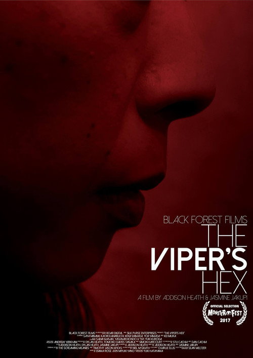 Movie poster for The Viper's Hex (2017)
