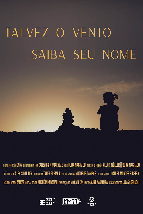 Movie poster for Talvez o Vento Saiba seu Nome (2024)