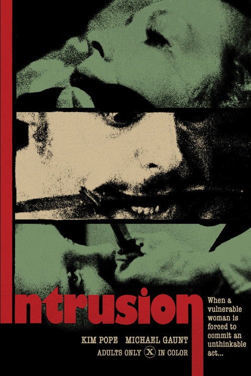 Movie poster for The Intrusion (1975)