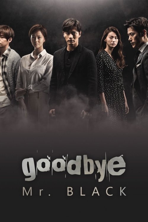 Goodbye Mr. Black poster