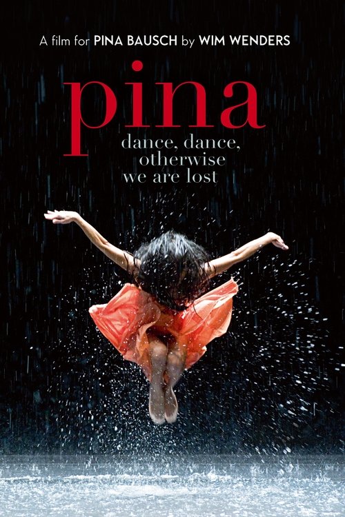 Movie poster for Pina (2011)