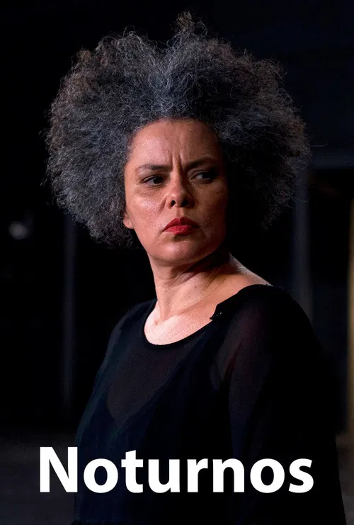 Noturnos poster
