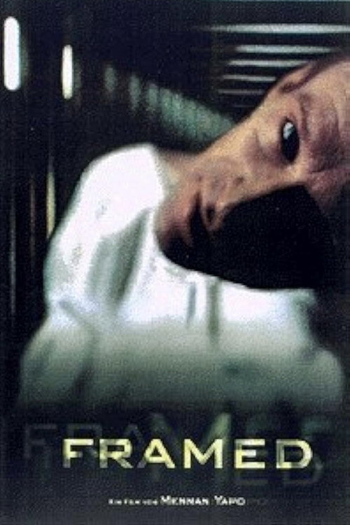 Movie poster for Framed (1999)