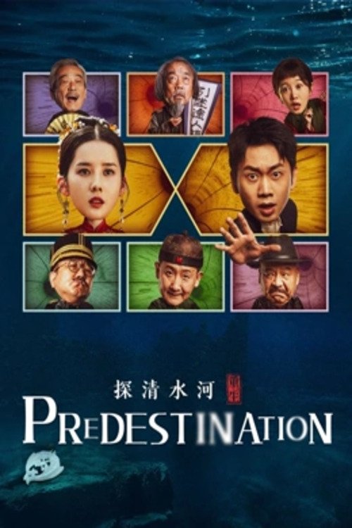 Movie poster for Predestination (2025)