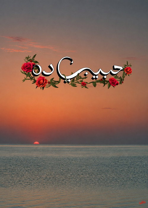 Movie poster for Habeeby Da (2025)
