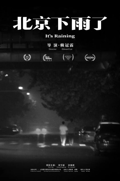 Movie poster for It's Raining