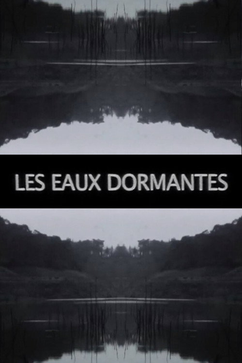 Movie poster for Les Eaux dormantes (2016)