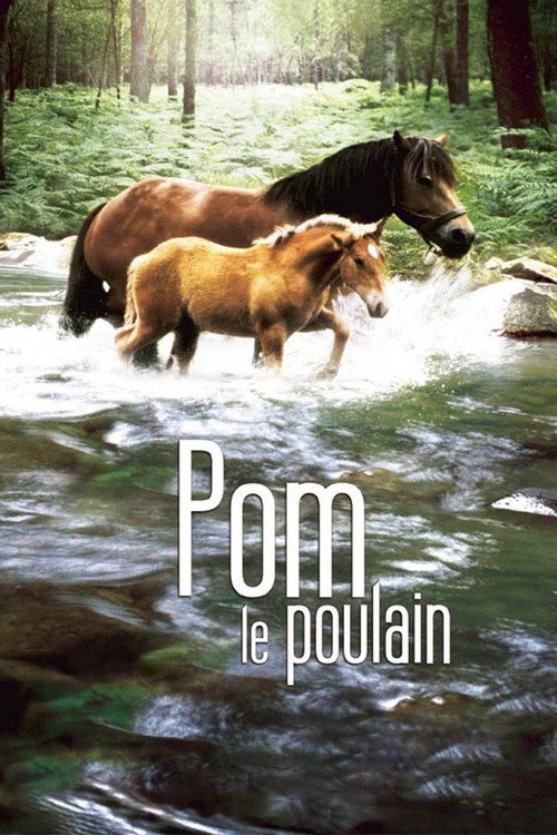 Movie poster for Pom, le poulain (2006)