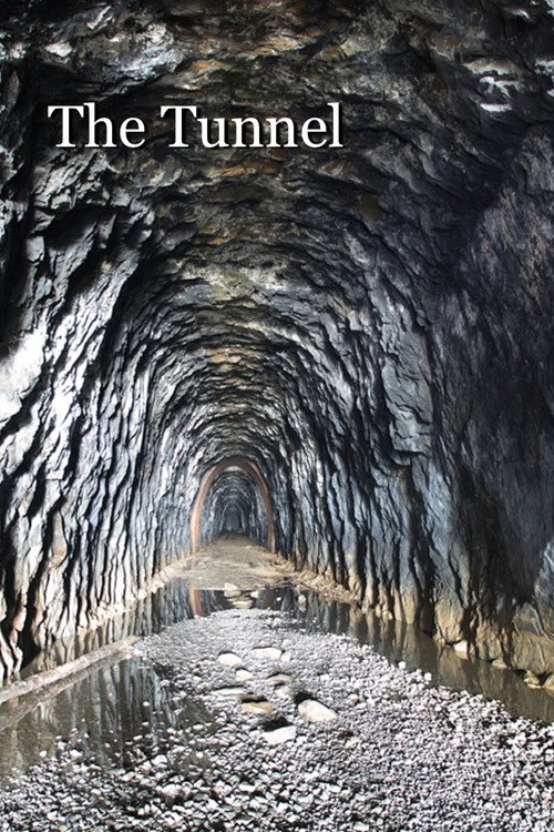 Movie poster for The Tunnel (2021)
