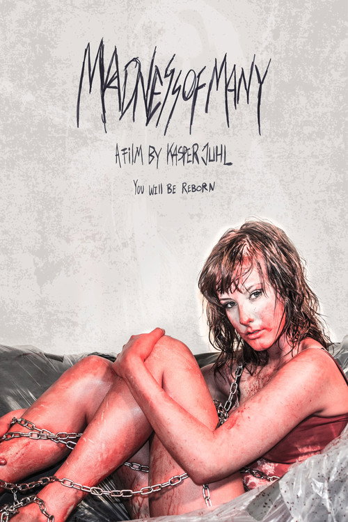 Movie poster for Madness of Many (2013)