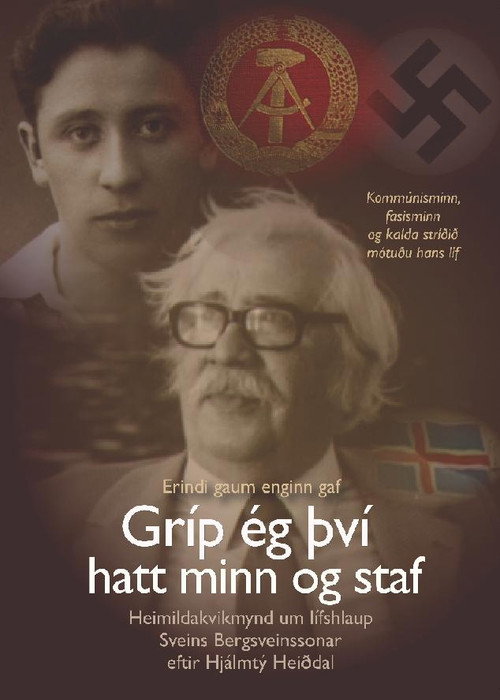 Movie poster for In Exile Thinking of Home (2010)