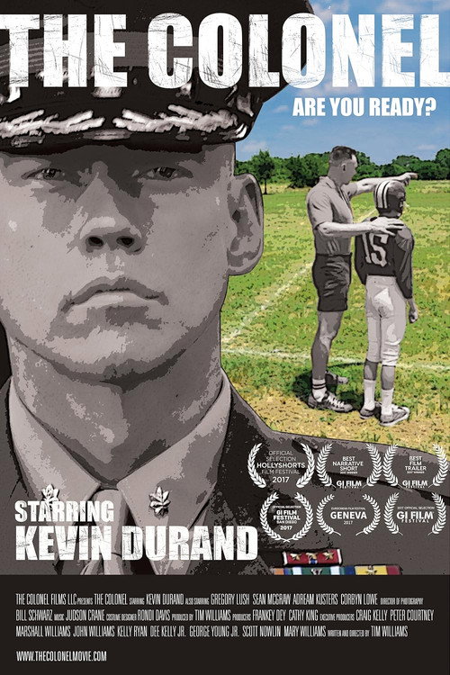 Movie poster for The Colonel (2016)