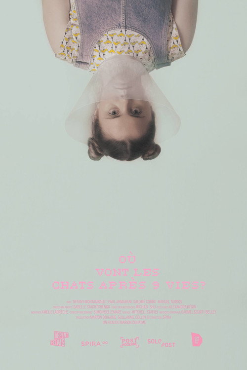 Movie poster for Where Do Cats Go After 9 Lives? (2017)