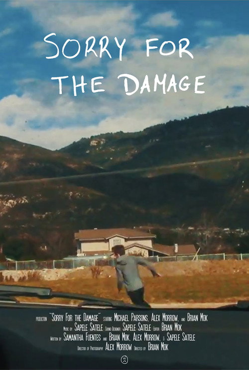 Movie poster for Sorry For the Damage (2016)