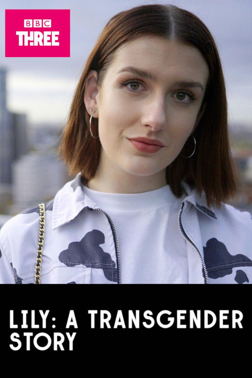 Movie poster for Lily: A Transgender Story (2020)