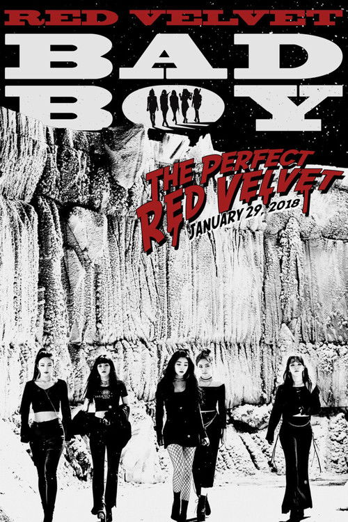 Movie poster for Bad Boy (2018)