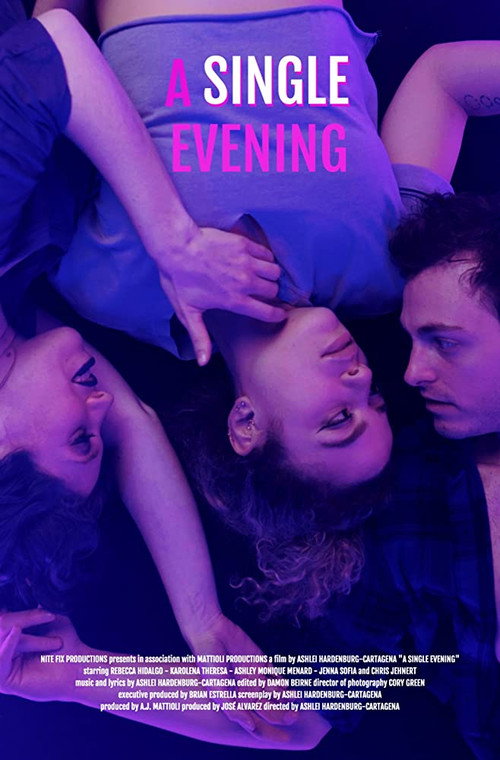 Movie poster for A Single Evening (2020)