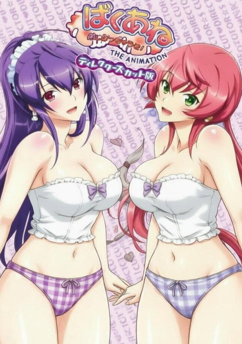 Series poster for 爆乳姐姐 把弟弟榨干哦！ (2014)