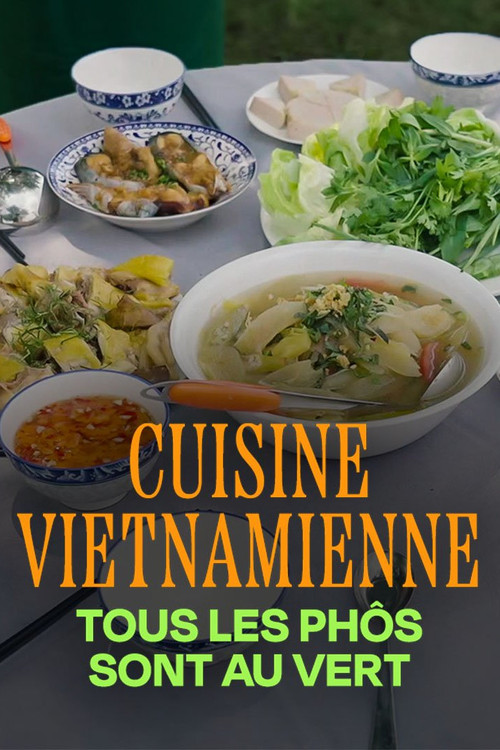 Movie poster for Cuisine vietnamienne : Tous les phôs sont au vert (2024)