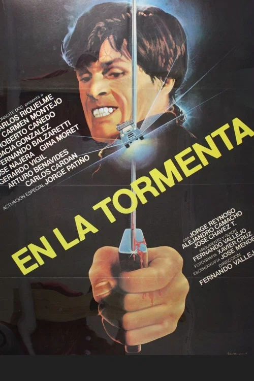Movie poster for In the Storm (1982)