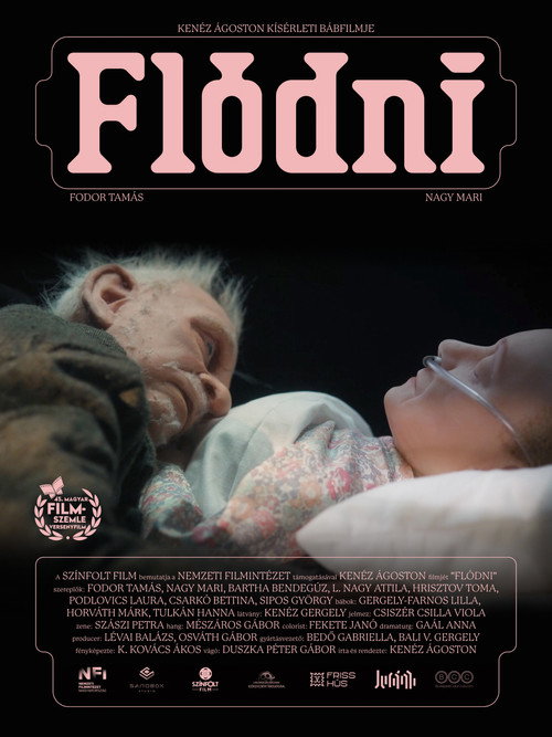 Movie poster for Flódni (2026)