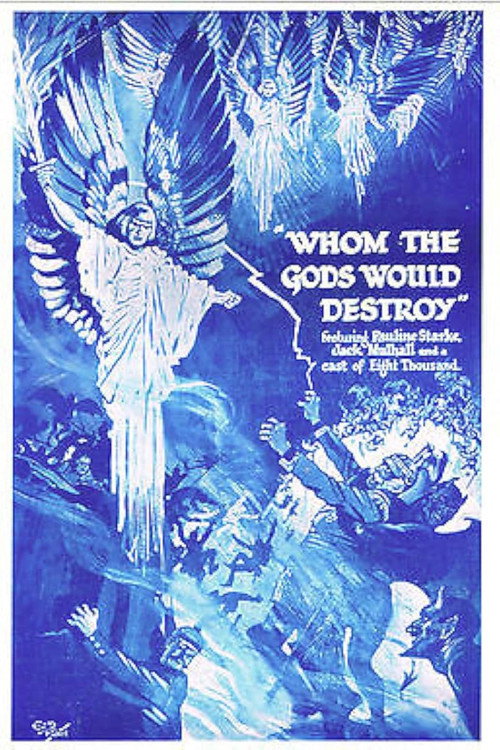 Movie poster for Whom the Gods Would Destroy (1919)