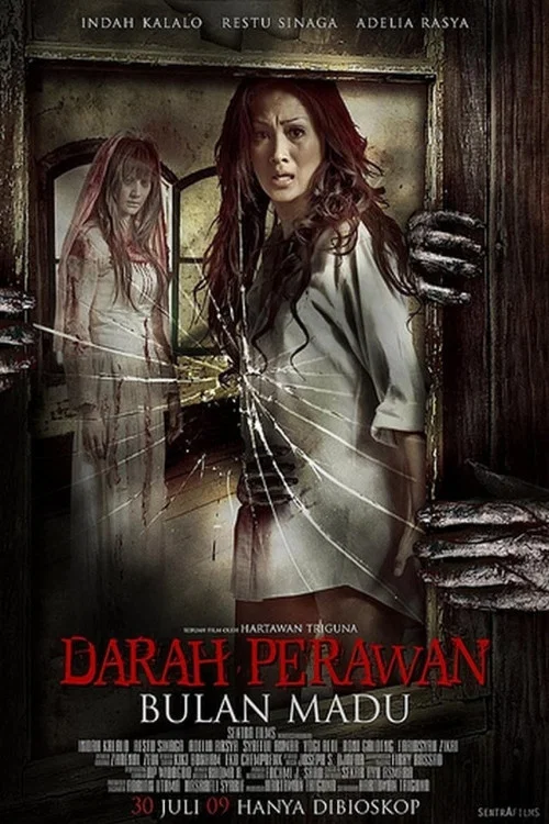 Movie poster for Virgin Blood on Honeymoon (2009)