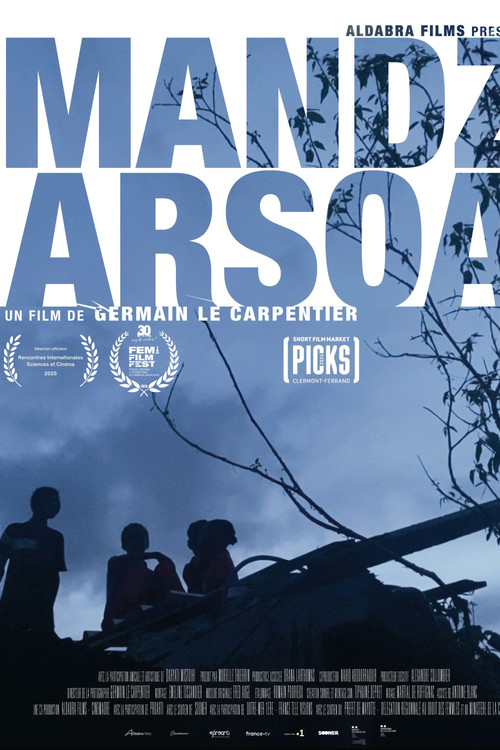 Movie poster for MANDZARSOA (2025)
