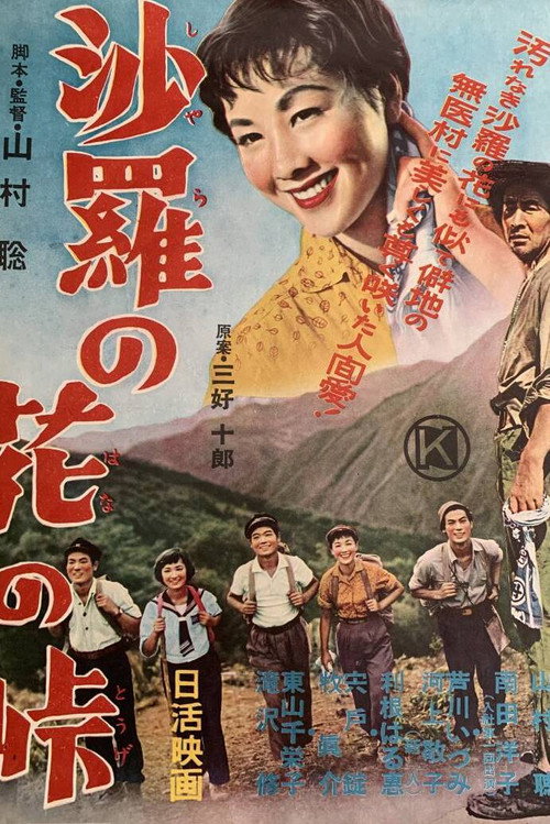 Movie poster for The Doctor (1955)