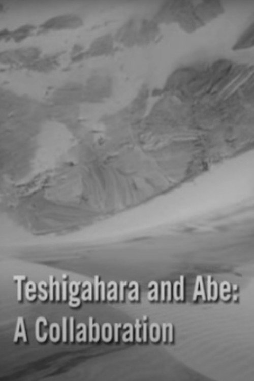 Movie poster for Teshigahara and Abe (2007)