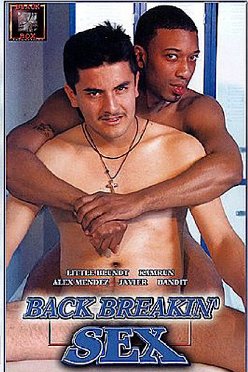 Movie poster for Back Breakin' Sex (2001)
