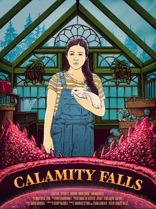 Movie poster for Calamity Falls (2018)