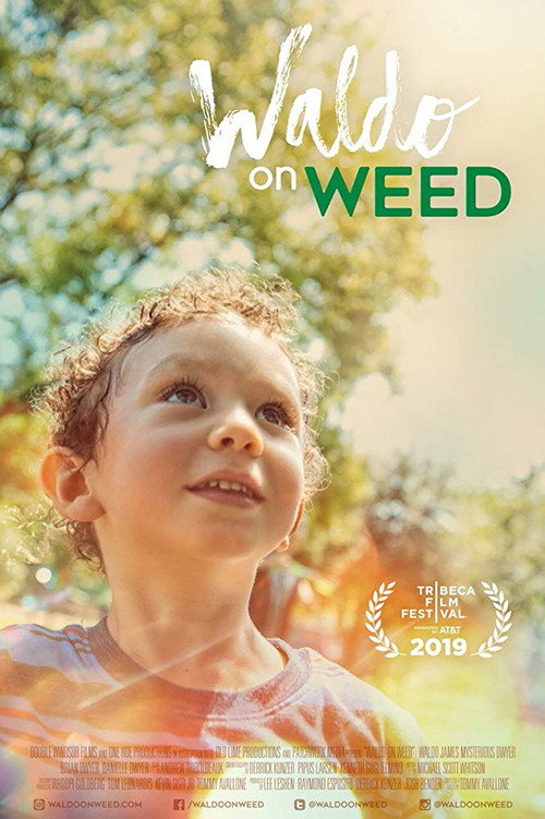 Movie poster for Waldo on Weed (2019)