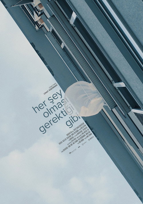 Movie poster for Her Şey Olması Gerektiği Gibi (2021)